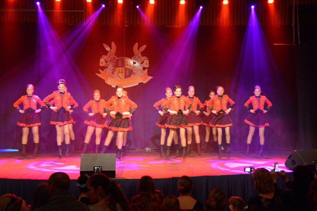 ../Images/Dansmarieke festival 2015 183.jpg